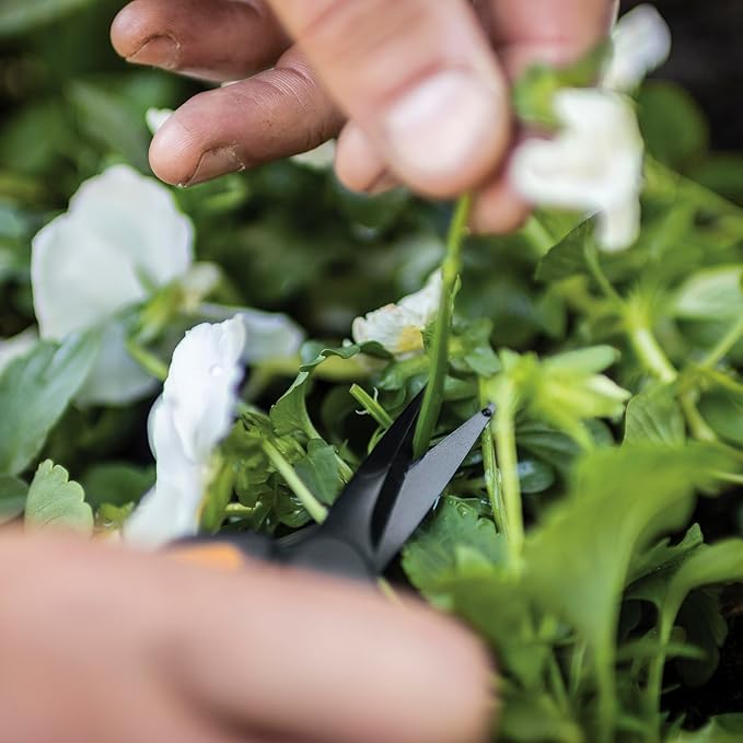 Fiskars 6" Pruning Scissors (2-Pack) for Flowers, Buds, Weeds and Small Plants, Garden Snips with Resin Resistant Nonstick Stainless Steel Blades, Gardening Trimmers with Comfortable Handle-PawvioPets