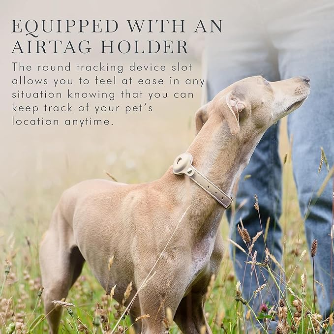 Cupertino Dog Collars, Harnesses & Leashes Made from Vegan Leather with Dog Tracker Device Holder Adjustable Dog Collar (Medium, Beige)-PawvioPets