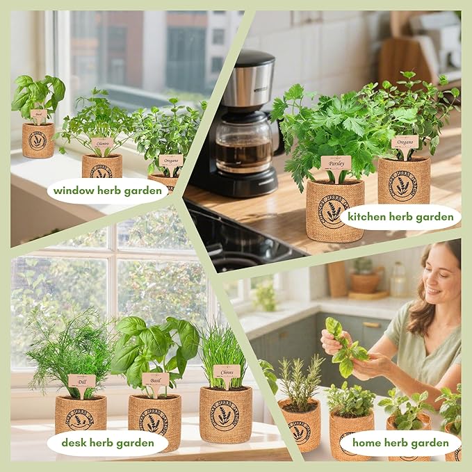 10 Indoor Herb Garden Kit- Burlap Pots, Organic Seeds, Herb Garden Planter Indoor Kit, Easy Window & Kitchen Herbs Growing Kit, Cilantro, Basil, Sage, Oregano, Parsley, Dill, Chives etc.-PawvioPets