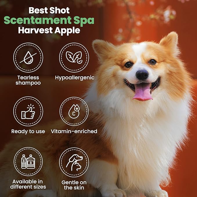 Best Shot Scentament Spa Seasonal Facial & Body Wash, Harvest Apple, 16 oz-PawvioPets