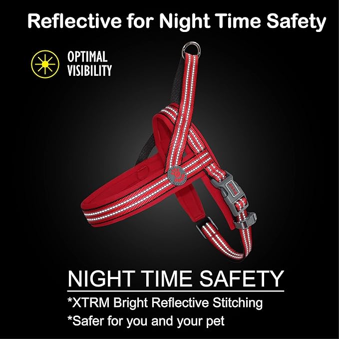 DOCO No-Pull Dog Harness Halter Reflective Easy-Control Harness for Training, Walking, and Preventing Pulling, Ideal for X-Large Dogs(Turquoise)-PawvioPets