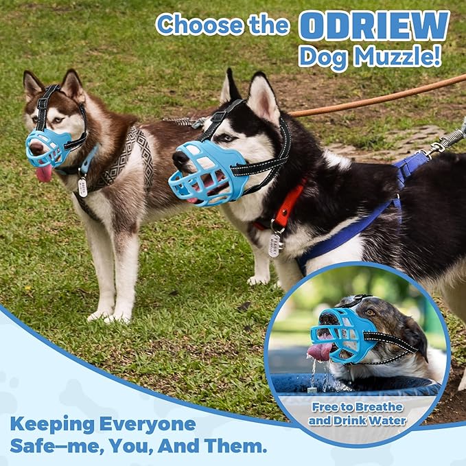 Dog Muzzle for Large Dogs, Breathable Basket Muzzles for Small, Medium and X-Large Aggressive Dog, Allows Panting Drinking, Suitable for Grooming Trimming Training (6, Luminous Blue)-PawvioPets