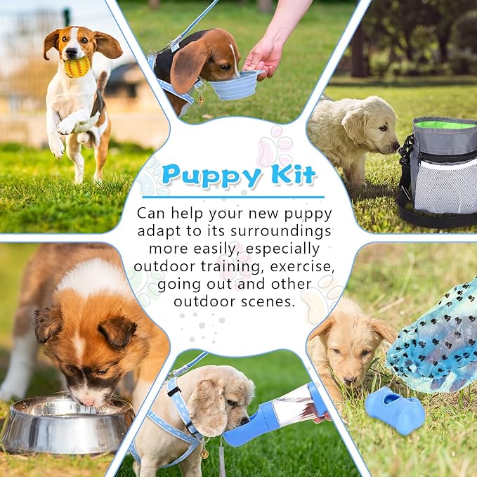 65 Pcs Puppy Supplies Starter Kit Small Dog Essentials Includes Dog Leash, Toys, Bowl, Brushes, Water Bottles, pet Blankets Puppy Accessories for New Welcome Gift Supplies(Cool,Blue)-PawvioPets