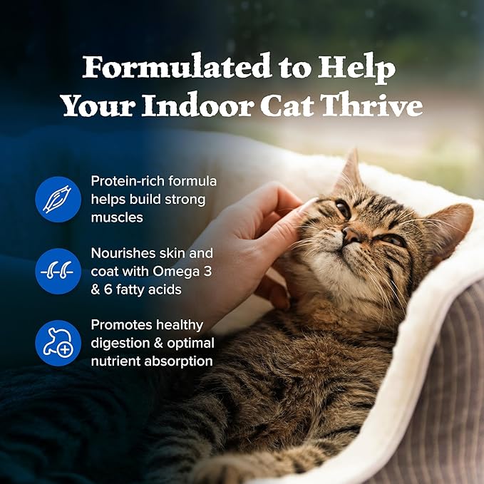 Blue Buffalo Wilderness Nature's Evolutionary Diet High-Protein, Grain-Free Natural Dry Food for Adult Cats, Chicken, 11-lb. Bag-PawvioPets