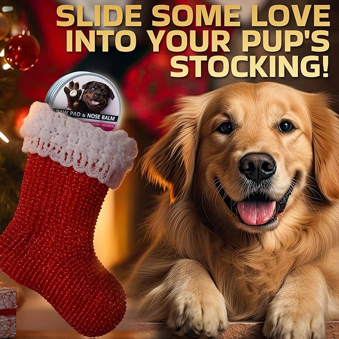 Dog Paw Balm for Dry Cracked Paws – Lick-Safe Moisturizer and Organic Paw Wax with Aloe & Vitamin E – Hot Pavement and Winter Snow Protection – Nose Safe – for All Breeds-PawvioPets