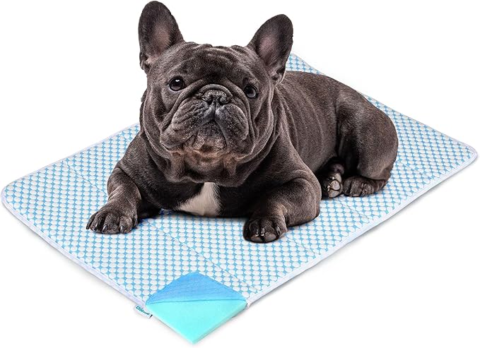 Dog Cooling Mat for Medium Dogs - 30x20 Orthopedic Memory Foam Pet Pad for Summer, QMAX>0.5, Washable Premium Comfort Crate Pad for Your Furry Companion, Blue-PawvioPets