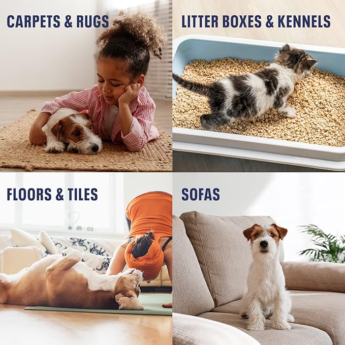 Bioesque Advanced Stain + Odor Remover, Pet-Friendly Natural Enzymatic & Bacterial Formula, Heavy-Duty Stain & Odor Remover, Safe on Carpets, Hard Floors, & More, 32 Fl Oz (Pack of 6)-PawvioPets