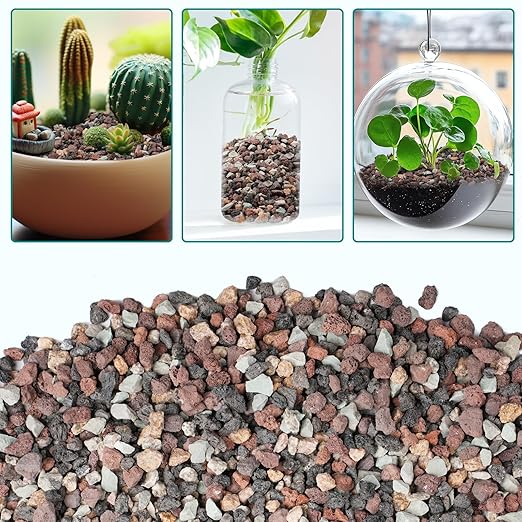 5lbs Terrarium Rocks for Pots Indoor, Succulent, Cactus, Bamboo, Bonsai Tree, 1/5 Inch Rocks for Planters Drainage, Mixed Color Small Lava Rocks for Top-Dressing-PawvioPets