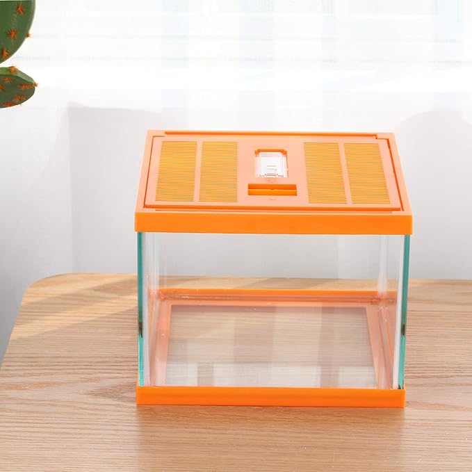 crapelles Reptile Terrarium kit Color Orange Spider Container Tarantula Box cage Gecko Habitat Insect Enclosure pet Tank Frog Carrier Tortoise Snail Container Hermit Crab House Cricket breeding-PawvioPets
