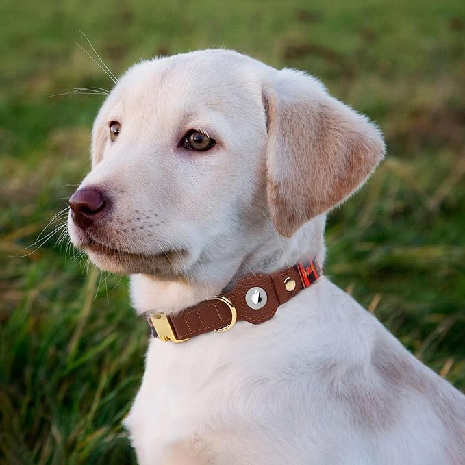 AirTag Dog Collar for Small Medium Large Breed - Adjustable Cute Pattern Dog Collar with Airtag Holder - Soft Leather Tracker GPS Apple Air Tag Pet Collars (Medium, 14"-18" Neck Fit, Western)-PawvioPets