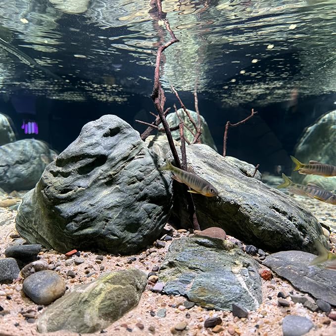 Aquarium Decor River Rock Decorative Stones Fish Tank Rocks Aquarium Landscapes 20LB Decoration Stone for Aquariums Aquascaping Terrariums,Paludariums,and Gardens（4-9inch / 4PCS）-PawvioPets