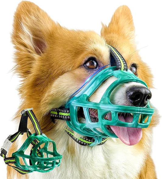 Dog Muzzle, Basket Muzzle for Small Medium Large Dogs, Anti-Biting and Chewing, Lightweight & Sturdy Cage Design, Allows Panting & Drinking, Ideal for Grooming & Training(Green Size M)-PawvioPets
