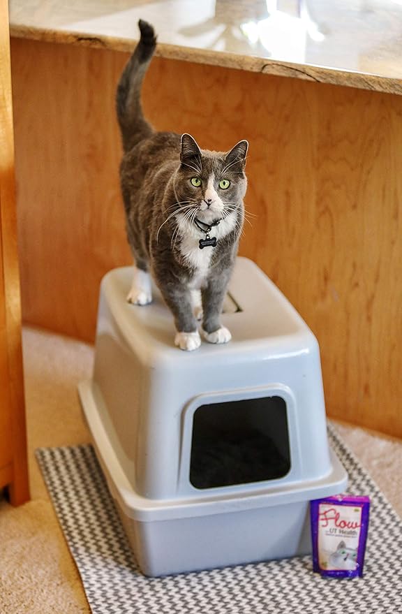 Flow Soft Chews for Cats. Daily Support for UT Health. Scientifically Formulated with Natural Ingredients to Keep Urinary Tract Flowing Naturally-PawvioPets