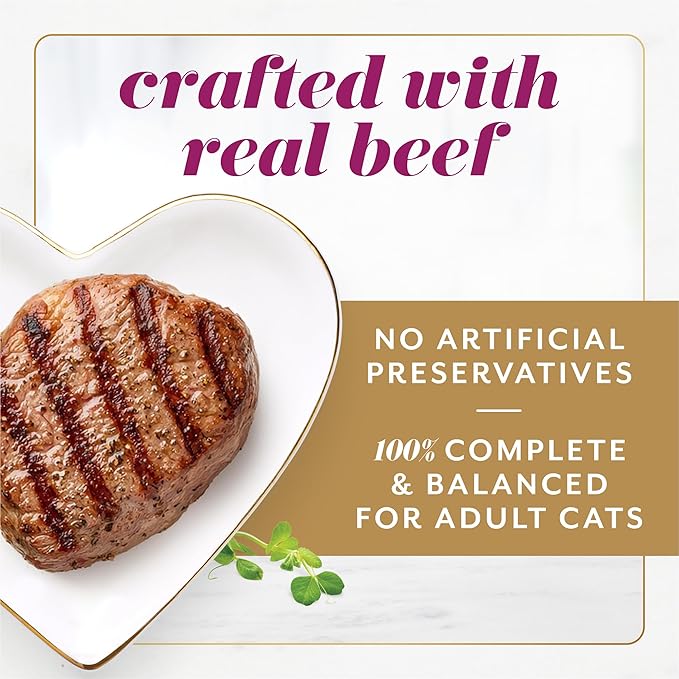 Fancy Feast Gems Pate Cat Food Mousse with Beef and a Halo of Savory Gravy Cat Food - (Pack of 8) 4 oz. Boxes-PawvioPets