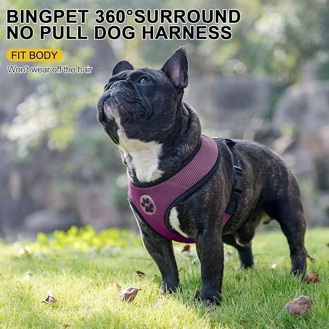 BINGPET Dog Vest Harness -Light Weight Breathable Sports Mesh - Pet Adjustable Harness Puppy Padded Harnesses Dog Vest Harness for Small Dogs-PawvioPets