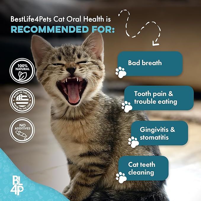 Cat Dental Supplement for Bad Breath, Tartar & Gum Support – Natural Oral Tablets for Fresh Breath, Teeth & Gum Wellness and Plaque Control – Odorless & Tasteless – 400 Easy-to-Give Pills-PawvioPets