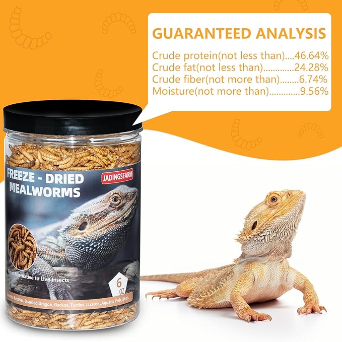 Freeze Dried Mealworms 6 Oz - High Protein Pet Food for Reptiles, Bearded Dragons, Birds & Hedgehogs - Nutrient-Packed Treat for Lizards, Geckos, Turtles, Chickens-PawvioPets