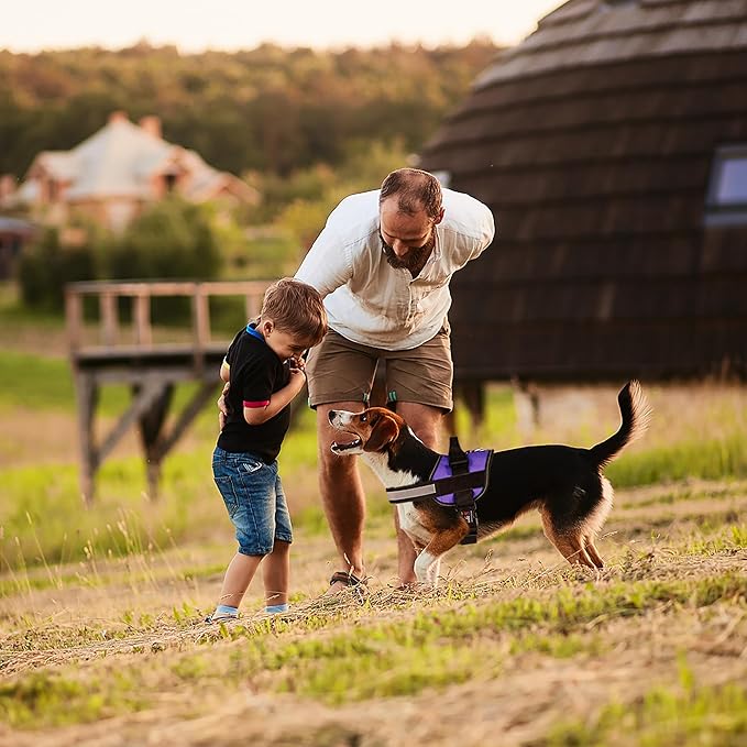 Dogline Dog Harness, Reflective No-Pull Adjustable Vest with Handle for Walking, Training, Breathable, No - Choke Harness for Small, Medium or Large Dogs Room for Patches Girth 33"-46" in Purple-PawvioPets