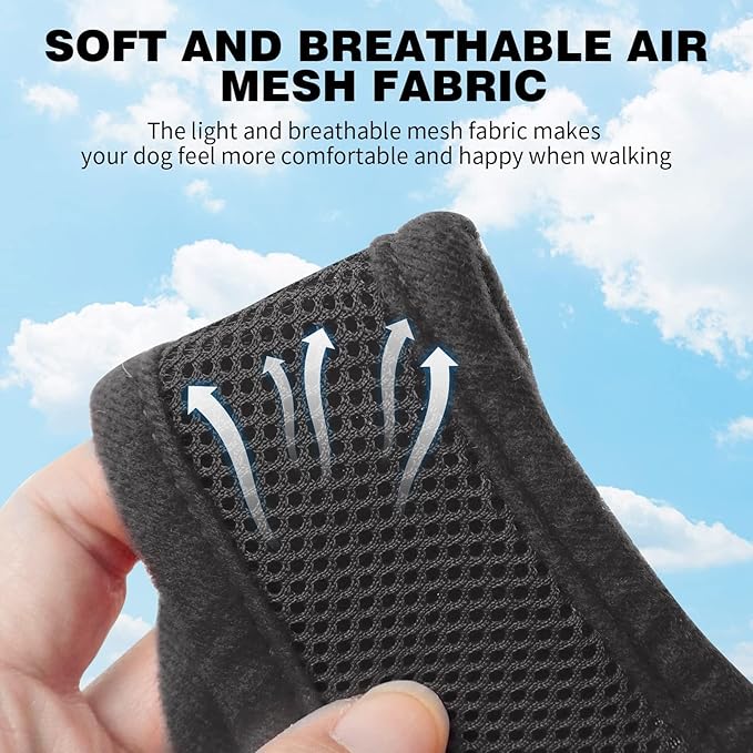 BINGPET Dog Vest Harness -Light Weight Breathable Sports Mesh - Pet Adjustable Harness Puppy Padded Harnesses Dog Vest Harness for Small Dogs-PawvioPets