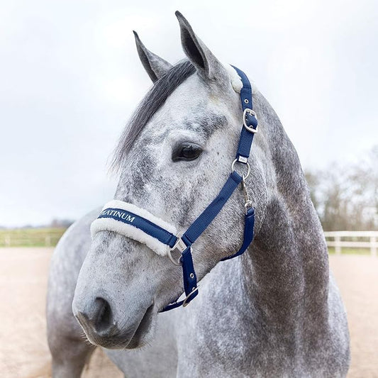 HORZE Howard Soft Fleece Padded Adjustable Polyester Horse Halter - Peacoat Dark Blue - Warmblood-PawvioPets