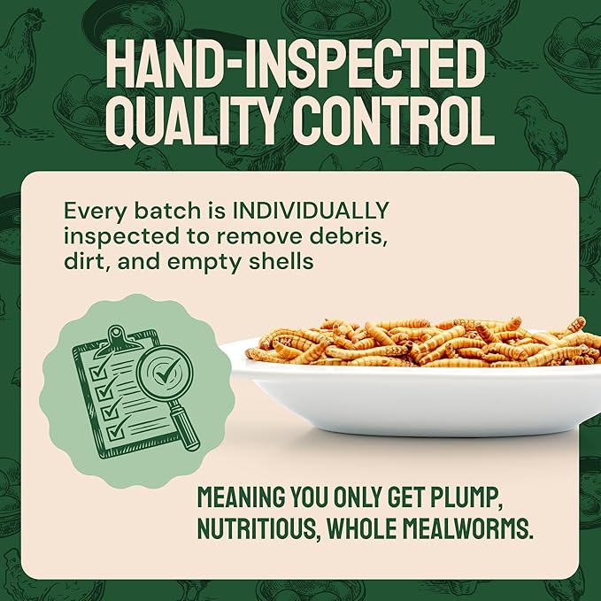 Bulk Dried Mealworms - 10 Lb Bag - Non-GMO Dried Mealworms for Chickens, Ducks & Wild Birds - High-Protein Chicken Feed & Bird Food-PawvioPets