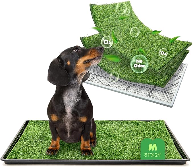 Dog Grass Pad with Tray, 31×21in Medium Litter Box, 2×Grass Pad for Dogs Potty Washable, Thick Soft Odor-Free Hemmed Dog Pee Grass, Indoor Potty Training Balcony-PawvioPets