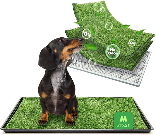 Dog Grass Pad with Tray, 31×21in Medium Litter Box, 2×Grass Pad for Dogs Potty Washable, Thick Soft Odor-Free Hemmed Dog Pee Grass, Indoor Potty Training Balcony-PawvioPets