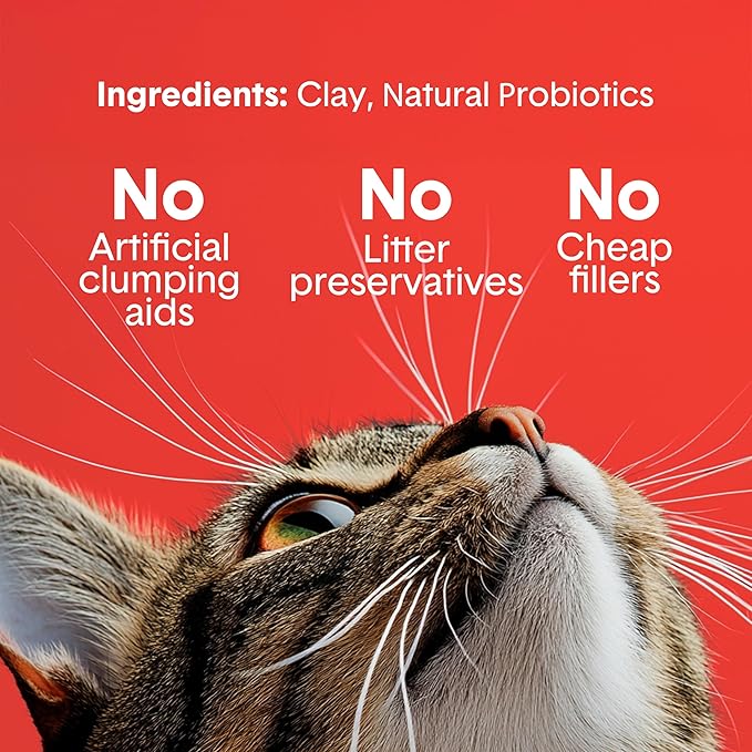 Boxie® Extra Strength 35 Day Odour Control Clumping Clay Cat & Kitty Litter 16lb, 99.9% Dust-Free, Probiotic Formula, Long-Lasting, Veterinarian Approved, Easy Scooping for Multi-Cat Homes-PawvioPets