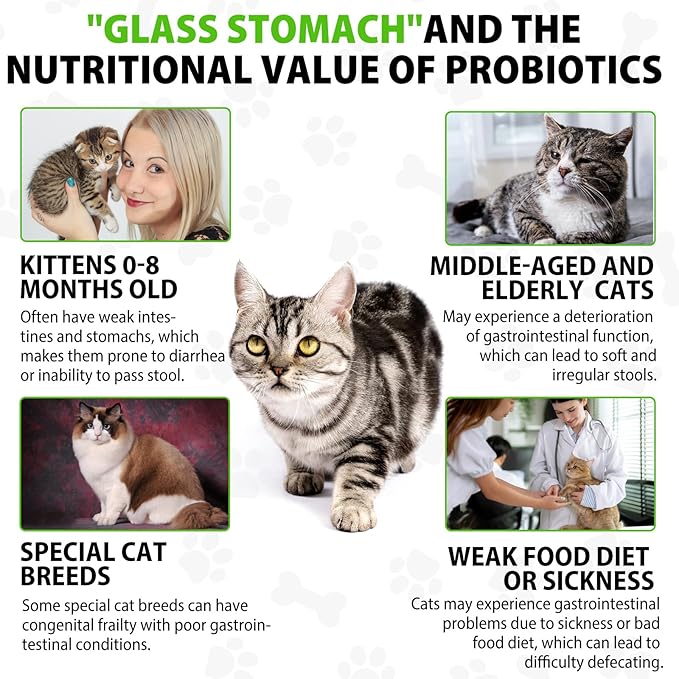 Cat Constipation Relief, Cat Laxative, Constipation Relief for Cat, Cat Laxative Constipation Relief, Constipation Relief for Cats, Cat Laxative Constipation Relief-PawvioPets