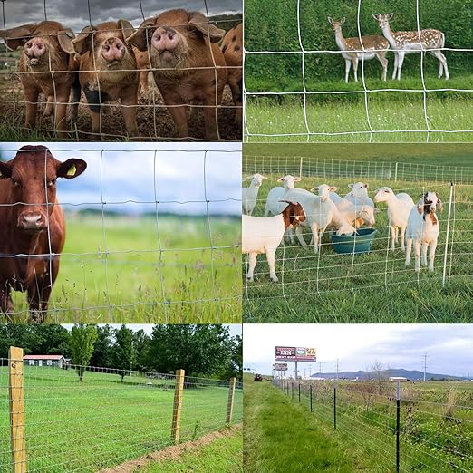 Farm Fence, 4ft x 164ft Galvanized Wire Fencing, Cattle Fence, Deer Fence, Heavy Zinc Coating Farm Fence Used to Hog Goat Fencing for Yard Garden and Field-PawvioPets