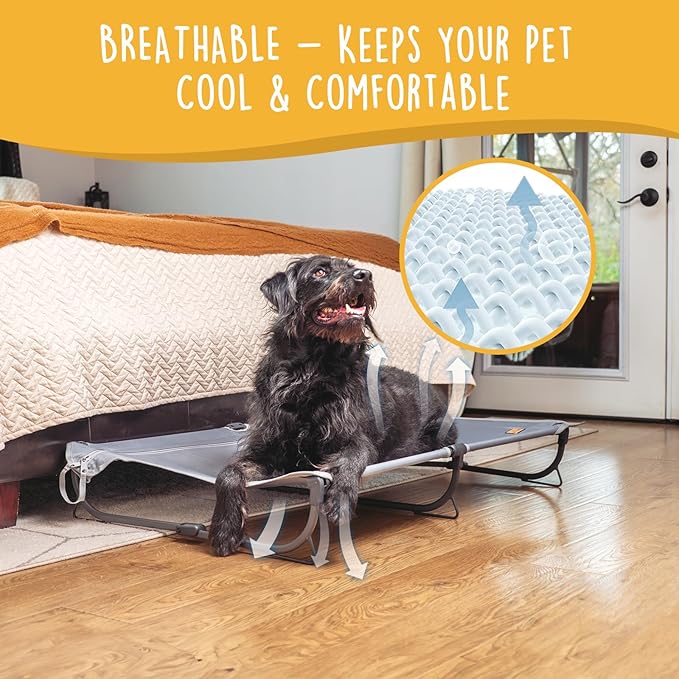 Daisy Cot, Large Foldable Elevated Dog Bed, Portable Raised Outdoor Folding Dog Cot, Cooling, Chew Proof, Waterproof, Heavy Duty Up to 160 lbs for Camping/Home, Grey, 43"x 27"x7"-PawvioPets