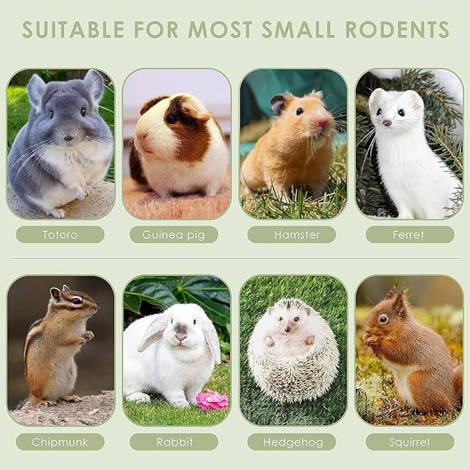 ERKOON Timothy Hay Sticks,Rabbit Chew Toys for Teeth Natural Molar Sticks Rabbits Treats for Bunnies, Chinchilla Guinea Pigs, Gerbil, Hamster (50 Pcs)-PawvioPets