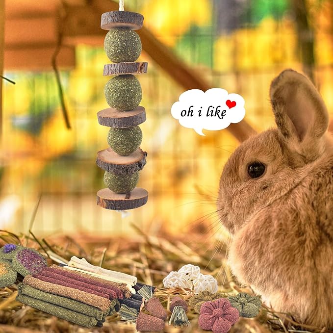 ERKOON Bunny Toys Boredom, 42 PCS Bunnies Timothy Hay Sticks Carrots Rose Grass Cake Dental Care, Molar, Chinchillas Toy Chew Toy, Guinea Pigs, Hamsters, Chinchilla, Rabbit Chew Toys for Teeth-PawvioPets