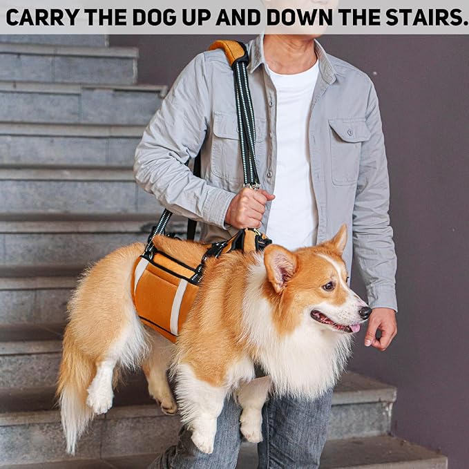 COODEO Mobility Dog Lift Harness, Emergency Carry Sling, Pet Rear Leg Support Rehabilitation Lifts Vest, Dog Carrier for Senior Dogs Joint Injuries, Arthritis (Orange, M)-PawvioPets