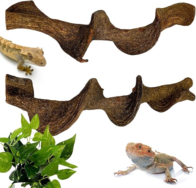 BNOSDM 2Pcs Reptile Climbing Branches Decor,Snake Climbing Branch,Gecko Climb Wood,Lizard Forest Branch,Tank Habitat Tree Trunk Decorations for Bearded Dragons,Chameleons,Spider,Frogs (L)-PawvioPets