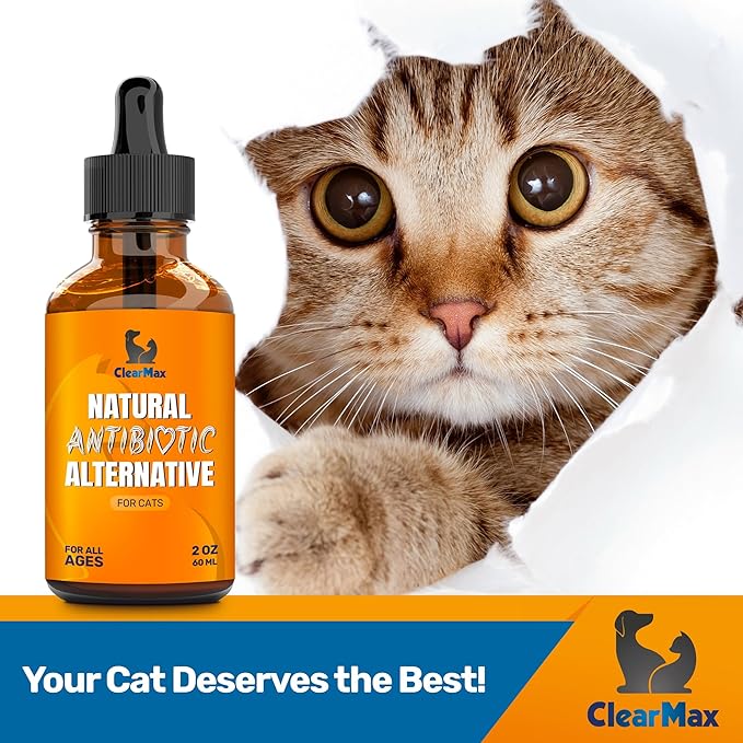 Cat Antibiotic to Help with Cough & Allergies – Antibiotics for Cats to Aid with UTIs and Digestive Moments – HIPS & Joints Support – Attractive Chicken Taste – 2 Oz Bottle-PawvioPets