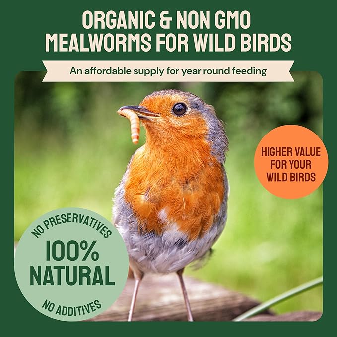 Dried Mealworms - 2 Lb Bag - High Protein Chicken Feed, Mealworms for Birds & Chickens - Meal Worms for Wild Birds & Turtles-PawvioPets