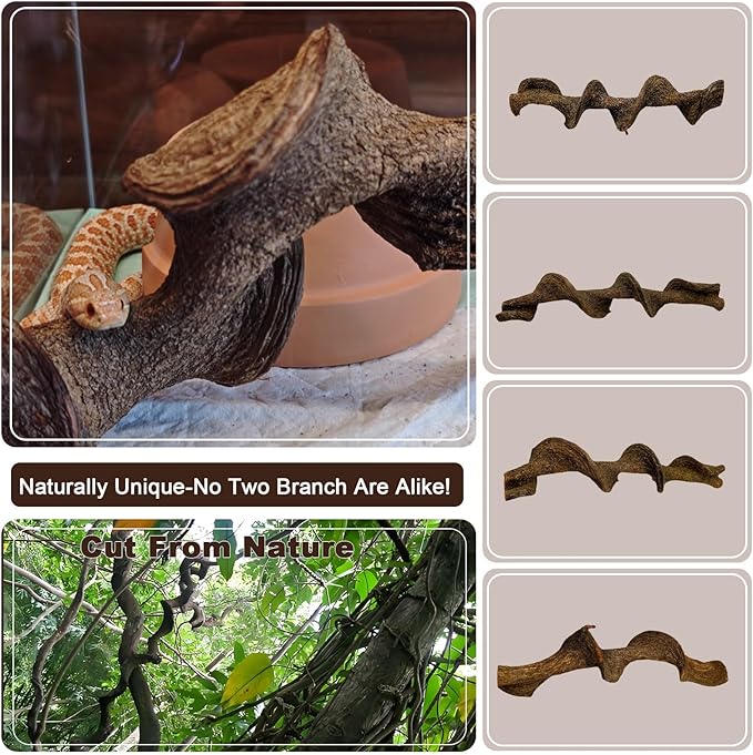 BNOSDM 3Pcs Reptile Climbing Branches Decor,Snake Climbing Branch,Gecko Climb Wood,Lizard Forest Branch,Tank Habitat Tree Trunk Decorations for Bearded Dragons,Chameleons,Spider,Frogs (L)-PawvioPets