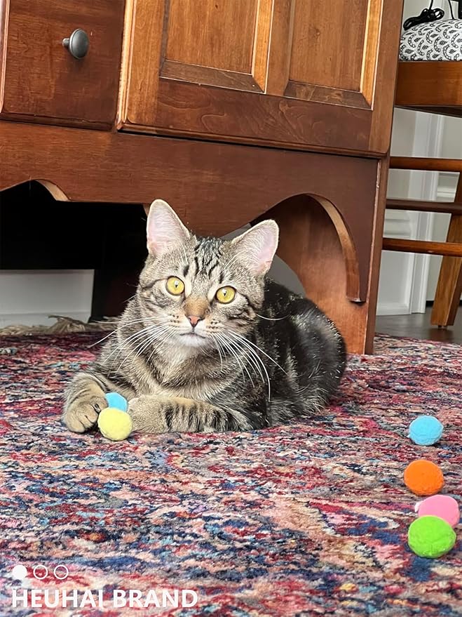 80-Pack Cat Toy Balls 10 Assorted Colors 1.25 Inch Diameter Suitable for All Cat Sizes (Cat Toys Value Pack)-PawvioPets
