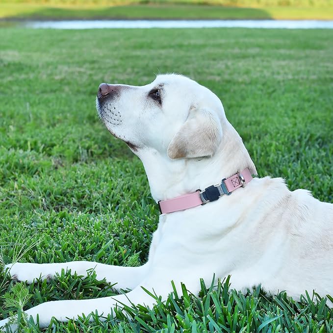 Dogline Biothane Waterproof Dog Collar with Herm Sprenger Stainless Steel Quick Release Buckle – Heavy Duty Tactical Durable Collar for Dogs – Comfortable and Safe Pet Collar, W 1" L 15-25", Pastel-PawvioPets