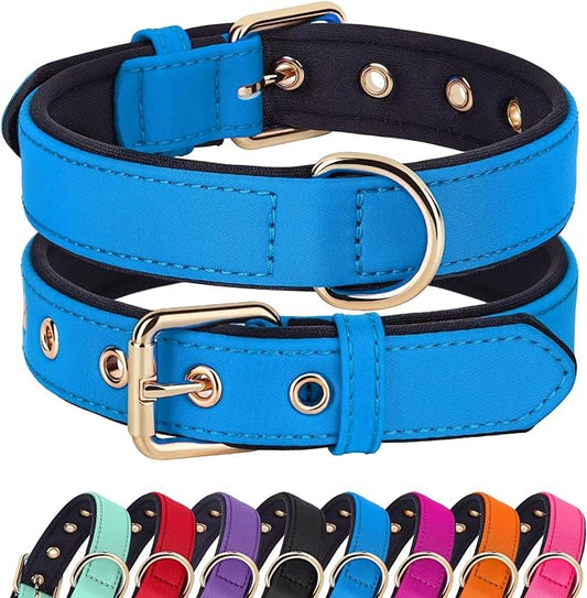 Didog Soft Padded Dog Collars for Medium Dogs, Lightweight and Breathable Dog Collar with Metal Buckle, Blue, L-PawvioPets