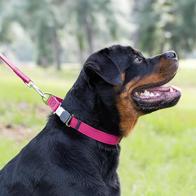 Dogline Biothane Waterproof Dog Collar with Herm Sprenger Stainless Steel Quick Release Buckle – Heavy Duty Tactical Durable Collar for Dogs – Comfortable and Safe Pet Collar, W 3/4" L 12-19", Magenta-PawvioPets