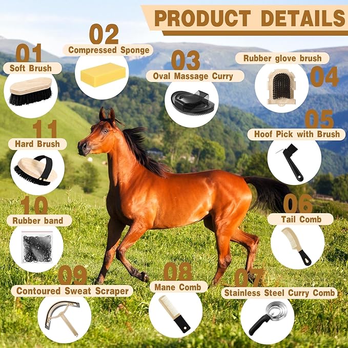 Abbylike 12 Pieces Horse Grooming Kit Racing Festival Tack Room Supplies Horse Brush Sets Equine Care Cleaning Kit Shedding Grooming Massaging Tools(Black)-PawvioPets