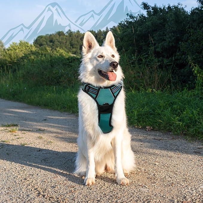 Eagloo Dog Harness Large Breed, No Pull Service Vest with Reflective Strips and Control Handle, Adjustable and Comfortable for Easy Walking, No Choke Pet Harness with 2 Metal Rings, Dark Green, XL-PawvioPets