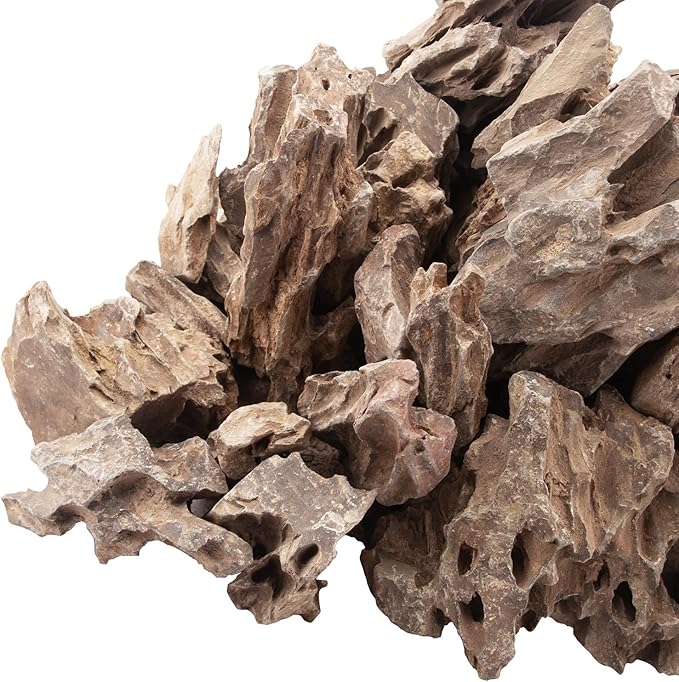 18.1 Pounds Natural Dragon Stones for Aquascaping Terrariums,Aquarium Dragon Ohko Rock (2.1 to 7.2 inch)-PawvioPets