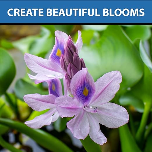 CrystalClear Thrive Aquatic Pond Plant Food, Fish Safe Water Garden Fertilizer, Nutrients Boost Lily & Lotus Flower Bloom & Root Growth, 30 Tablets-PawvioPets