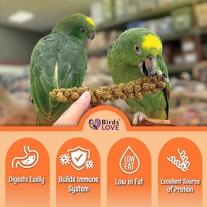 Birds LOVE Wholesome & Lovely Spray Millet Non-GMO for Birds Cockatiel Lovebird Parakeet Finch Canary All Parrots Healthy Treat - 2LBS-PawvioPets