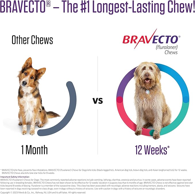 BRAVECTO Chew for Dogs, Flea & Tick, 1 Chew, 12 Week Supply, 22-44 lbs., Green Box-PawvioPets