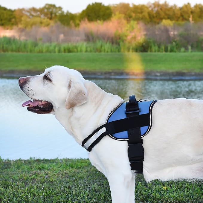 Dogline Dog Harness, Reflective No-Pull Adjustable Vest with Handle for Walking, Training, Breathable, No - Choke Harness for Small, Medium or Large Dogs Room for Patches Girth 15 to 18 in Cyan Blue-PawvioPets