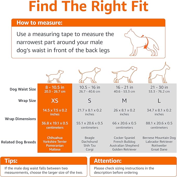 Amazon Basics Male Dog Diapers, 30 Count, X-Small, Ultra Absorbent Disposable Wrap with Secure Fit, Leakproof and Comfortable-PawvioPets